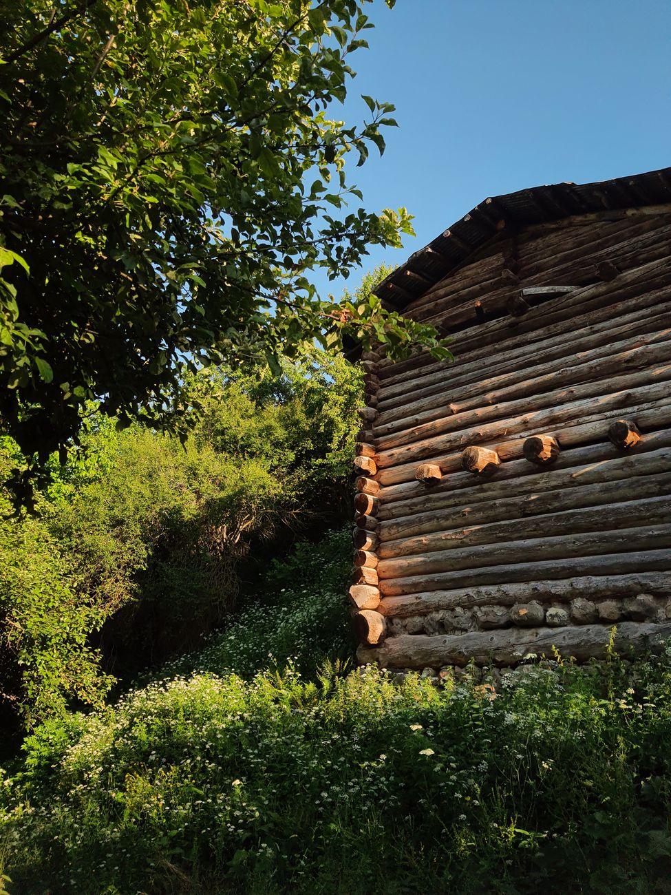 Wetzstahl richtig benutzen: Wie wetzt man Messer richtig und wann reicht es nicht?